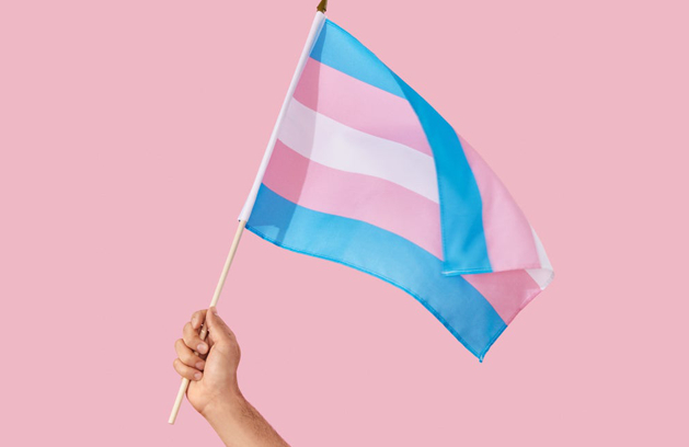 Bandeira da visibilidade trans.jpg