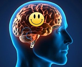 Cérebro feliz.jpg