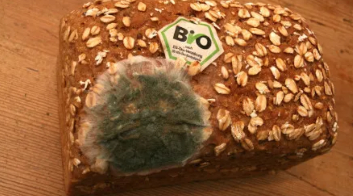 Bolor alimentos.jpg