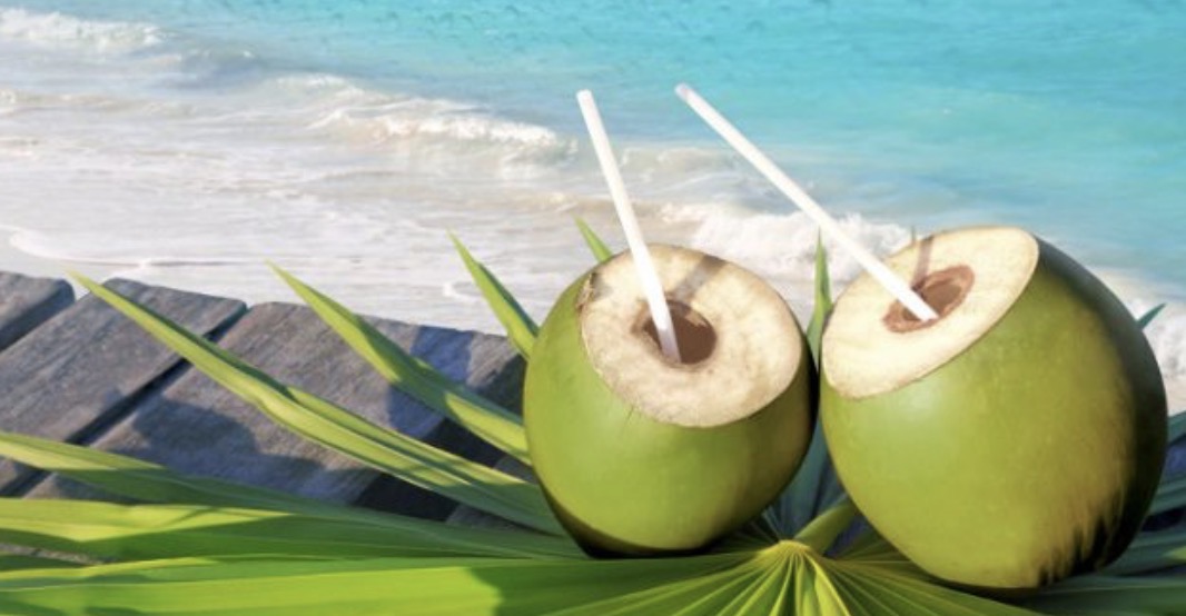 Coco verde.jpg