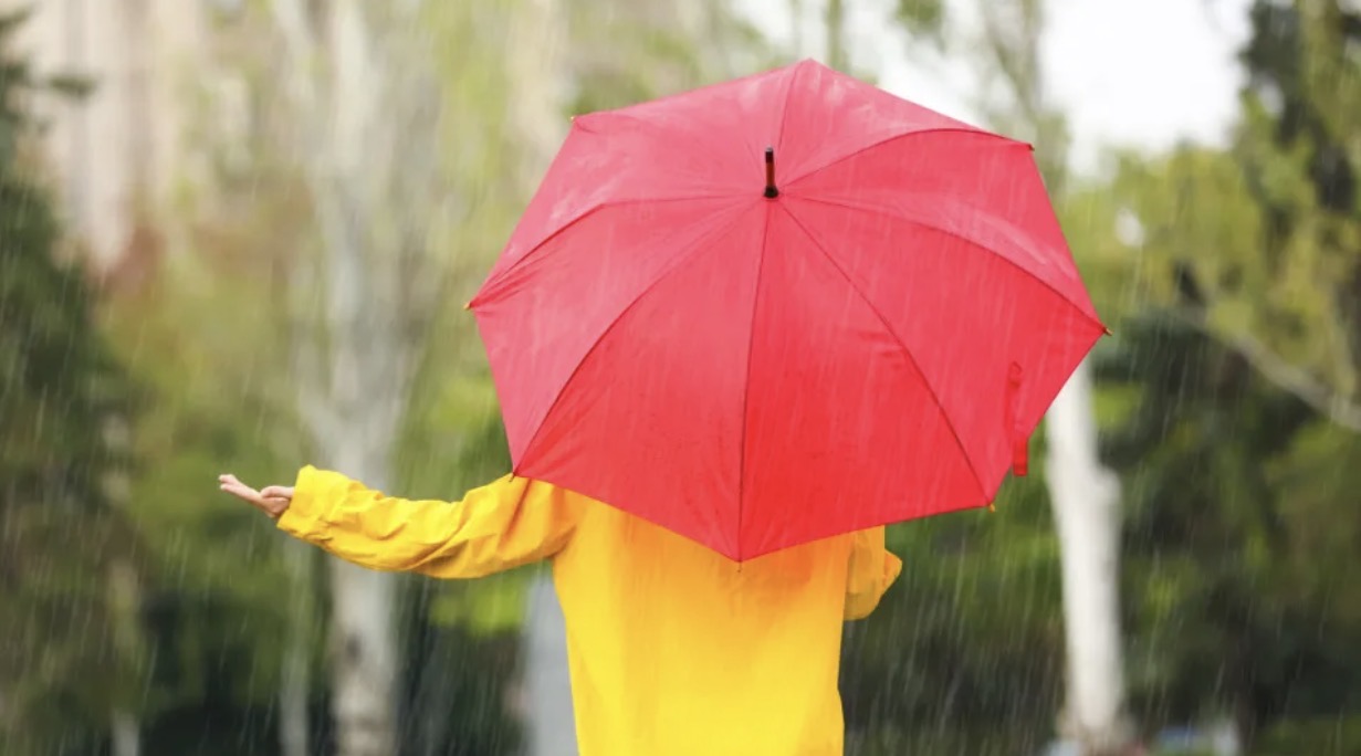 Outono, chuva, guarda-chuva.jpg