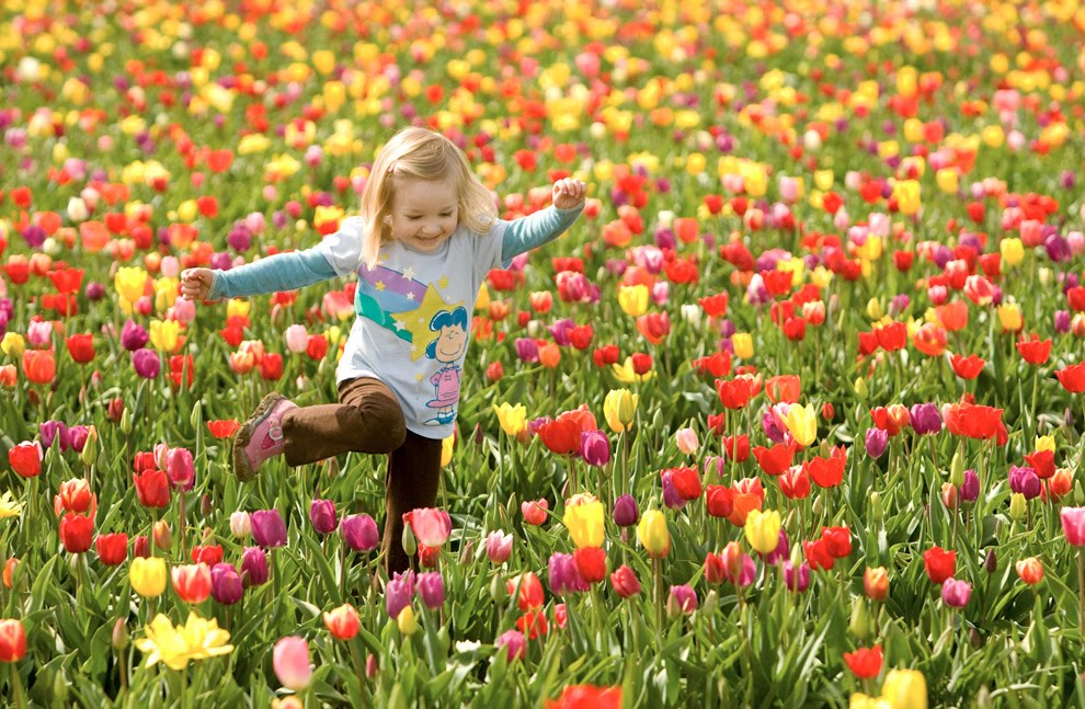primavera.jpg